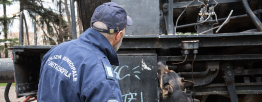 Tempo da cani in città: ai vigili urbani un’arma in più