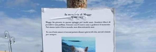 Meggy e le sue corse in spiaggia: tante palline per ricordarla