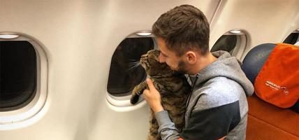 Gatto “grasso” respinto al check-in. Padrone se ne frega e lo porta in volo