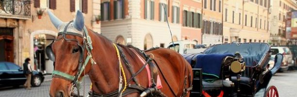 REGGIA DI CASERTA, ENPA: “STOP ALLE CARROZZE ANCHE A ROMA, FIRENZE, NAPOLI”