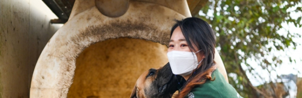 Corea del Sud, chiudono le «fattorie dei cani» allevati per il macello