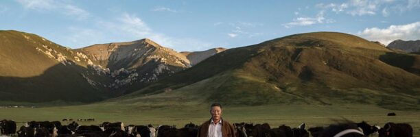 I pastori tibetani stanno diventando vegetariani