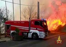 Incendi in Sicilia, 15mila pasti per gli animali salvati da Enpa