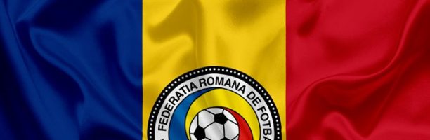 Romania, i calciatori scendono in campo con i cani randagi in braccio: “Adottateli”