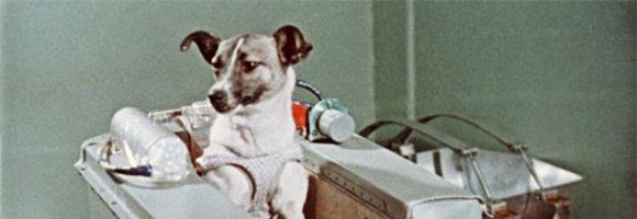 Laika: la triste storia del primo animale nello spazio