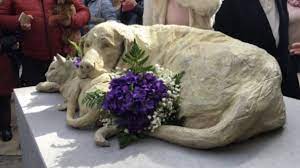 Tristán e Soledad: la scultura eretta in onore dei gatti e cani randagi a Valencia