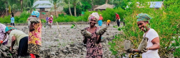 Agricoltura ed ecologia: il progetto di Mani Tese