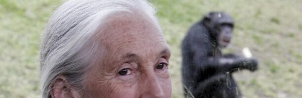 Jane Goodall: “Il nostro pianeta è molto malato, ma l’uomo sembra non voler cambiare. Io però non perdo la speranza e vi spiego perché”