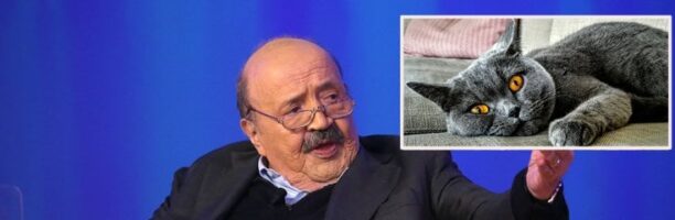 Maurizio Costanzo, la passione per i cani Bassotti e il gatto Filippo: “Gli animali per me sono stati una lezione di vita”