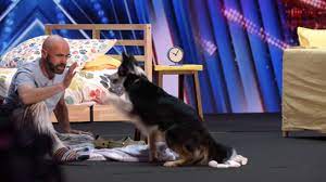 Adrian Stoica conquista «America’s got talent»: il dog coach italiano entusiasma giudici e pubblico con il suo cane