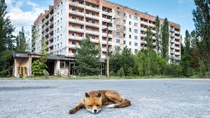 Come animali e piante convivono con le radiazioni a Chernobyl nella “zona di alienazione”