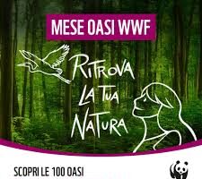 Dal 25 aprile, tanti eventi nella natura in Italia. Per esempio, in Lombardia…